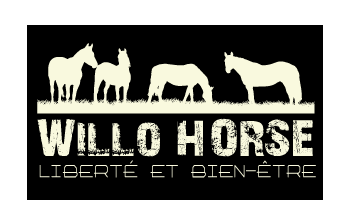 WilloHorse_logo